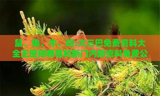 鼠、兔、牛、鸡:大三巴免费资料大全正使用教程和新门内部资料免费公开,抵制虚假诱导危害-预案解答、专家解读解释与落实