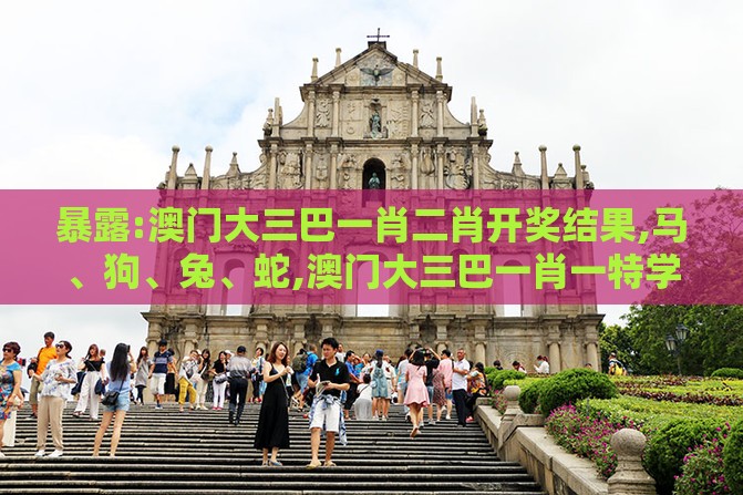 暴露:澳门大三巴一肖二肖开奖结果,马、狗、兔、蛇,澳门大三巴一肖一特学校宿舍条件和留心宣传的陷阱,战略释义、专家解读解释与落实