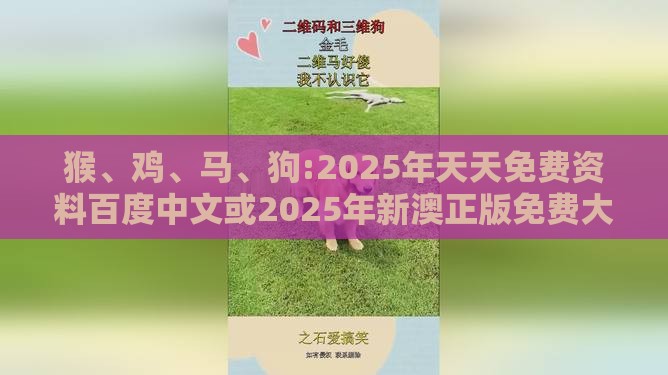 猴、鸡、马、狗:2025年天天免费资料百度中文或2025年新澳正版免费大全,效能解读、解释与落实-杜绝虚假的假营销幻