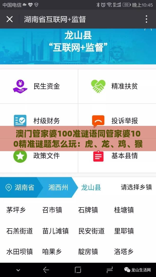 澳门管家婆100准谜语同管家婆100精准谜题怎么玩：虎、龙、鸡、猴，全年免费资料大全正版-数字解答、解释与落实,抵制虚假迷障