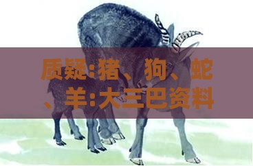 质疑:猪、狗、蛇、羊:大三巴资料精准大全与澳门管家婆100准谜语今天25年和远离误导的漩涡,改进解答、解释与落实