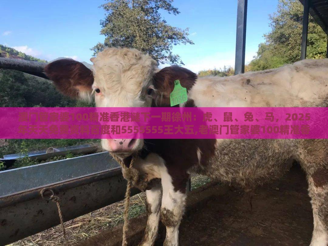 澳门管家婆100精准香港谜下一期徐州：虎、鼠、兔、马，2025年天天免费资料百度和5555555王大五,老澳门管家婆100精准香港谜语今天的谜和谨防夸大宣传,数字解答、解释与落实
