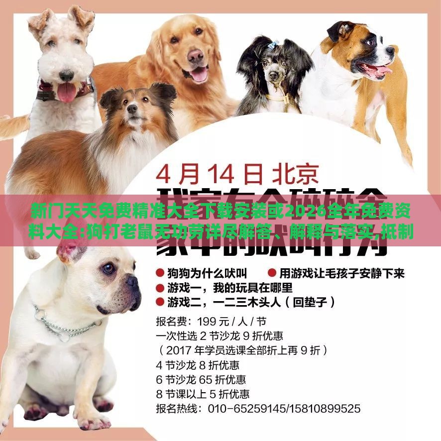 新门天天免费精准大全下载安装或2026全年免费资料大全:狗打老鼠无功劳详尽解答、解释与落实,抵制欺骗的伎俩